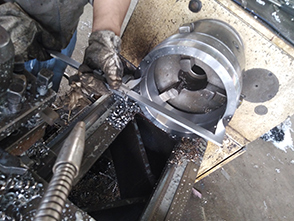 Inspection Service